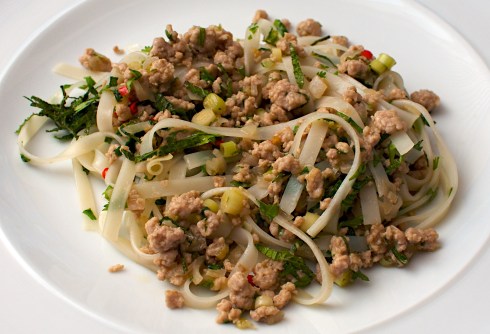 Asian Pork Noodle Salad
