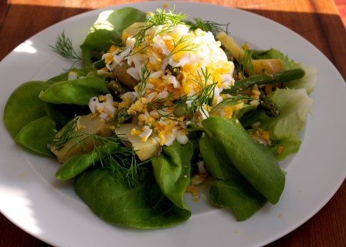 Warm asparagus & new potato salad