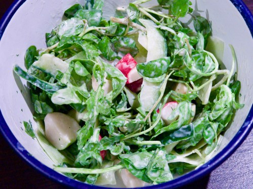 Watercress, cucumber &amp; radish salad
